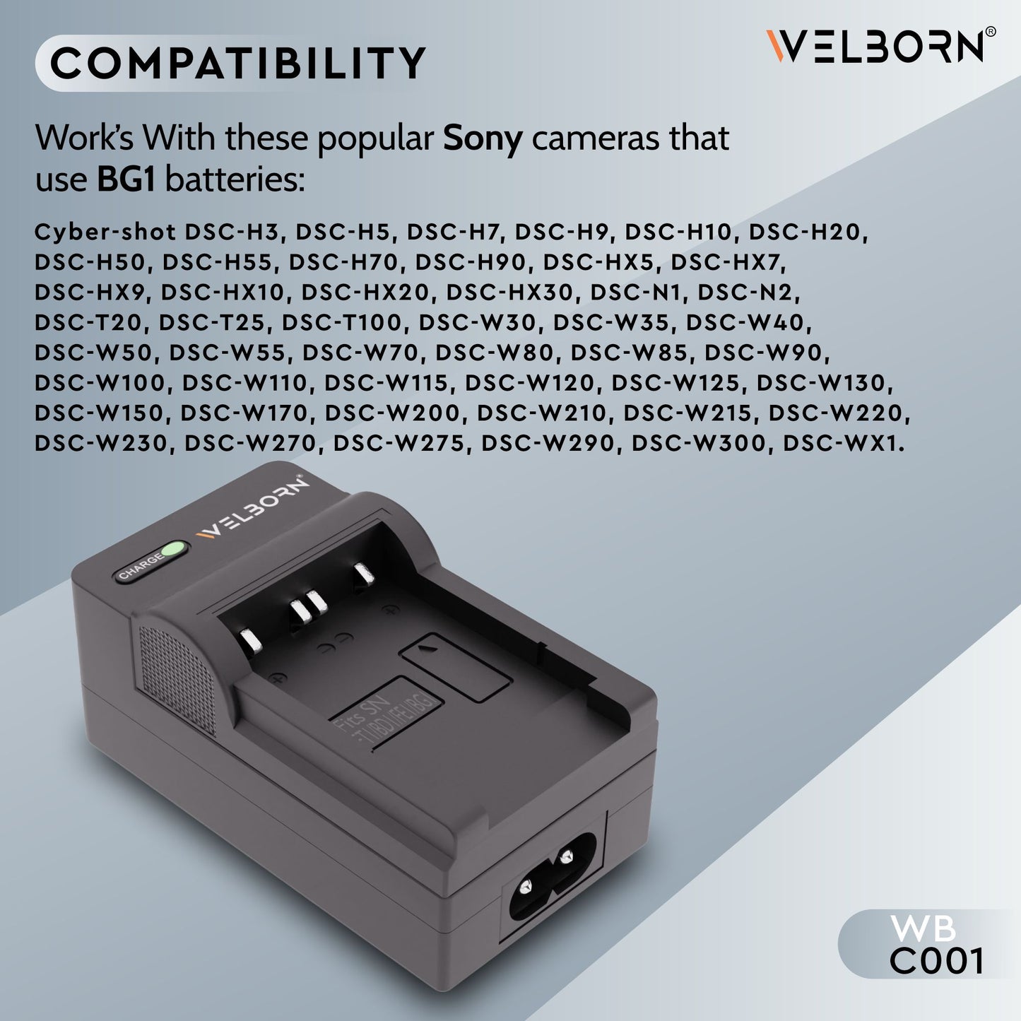 Welborn Camera Battery Charger for BD1 Battery Compatible with Panasonic PV-BP18, PV-BP15, PV-BP22 Camcorder Batteries