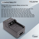 Welborn Camera Battery Charger for BD1 Battery Compatible with Panasonic PV-BP18, PV-BP15, PV-BP22 Camcorder Batteries