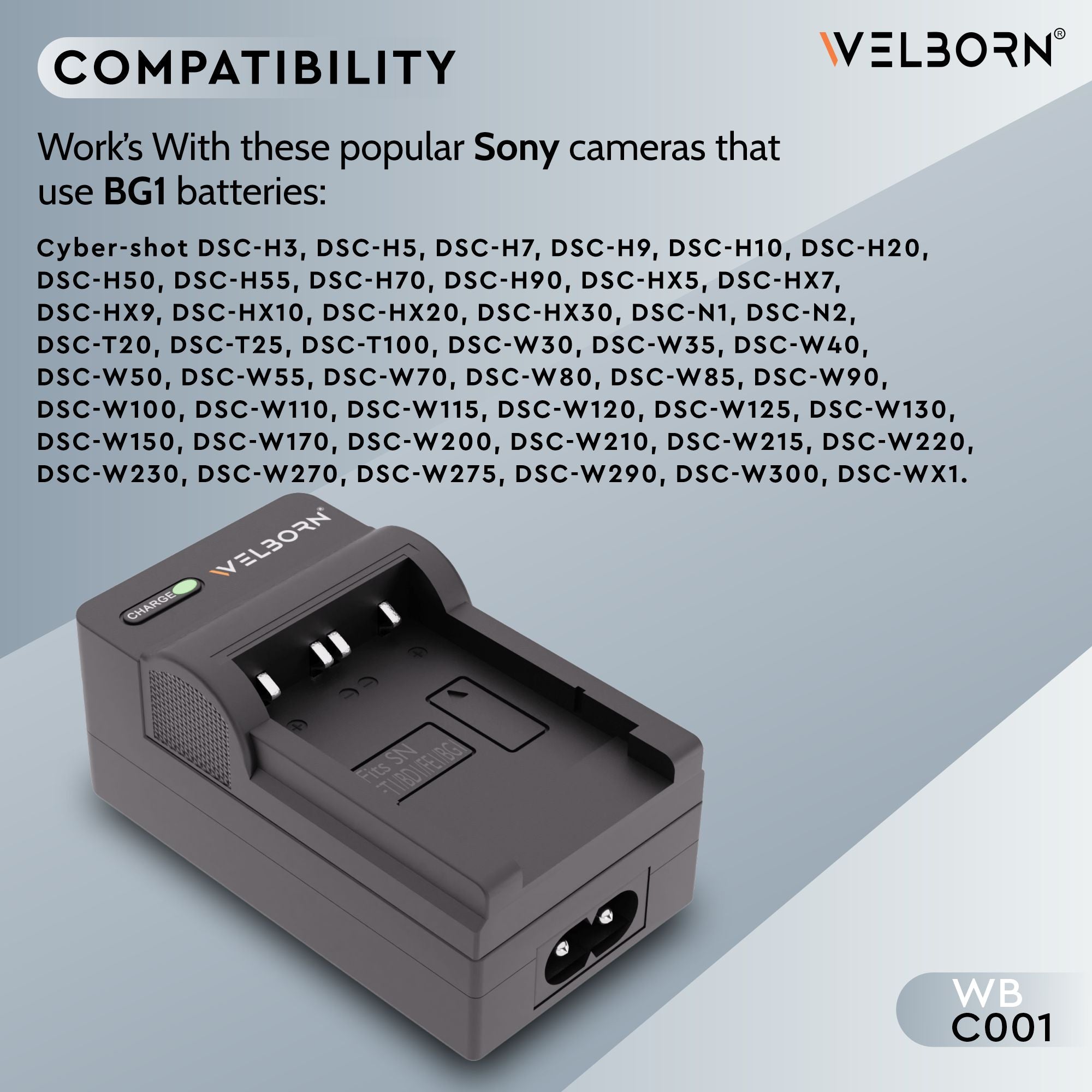 Welborn Camera Battery Charger for BD1 Battery Compatible with Panasonic PV-BP18, PV-BP15, PV-BP22 Camcorder Batteries