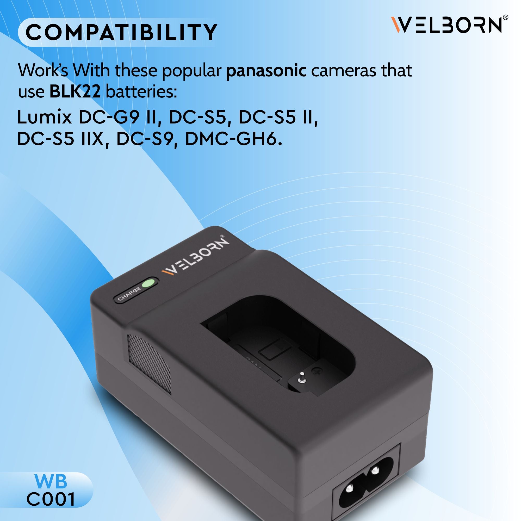 Welborn Camera Battery Charger for Panasonic BLK22 Battery Compatible with Lumix GH5, GH5S, GH6 Cameras
