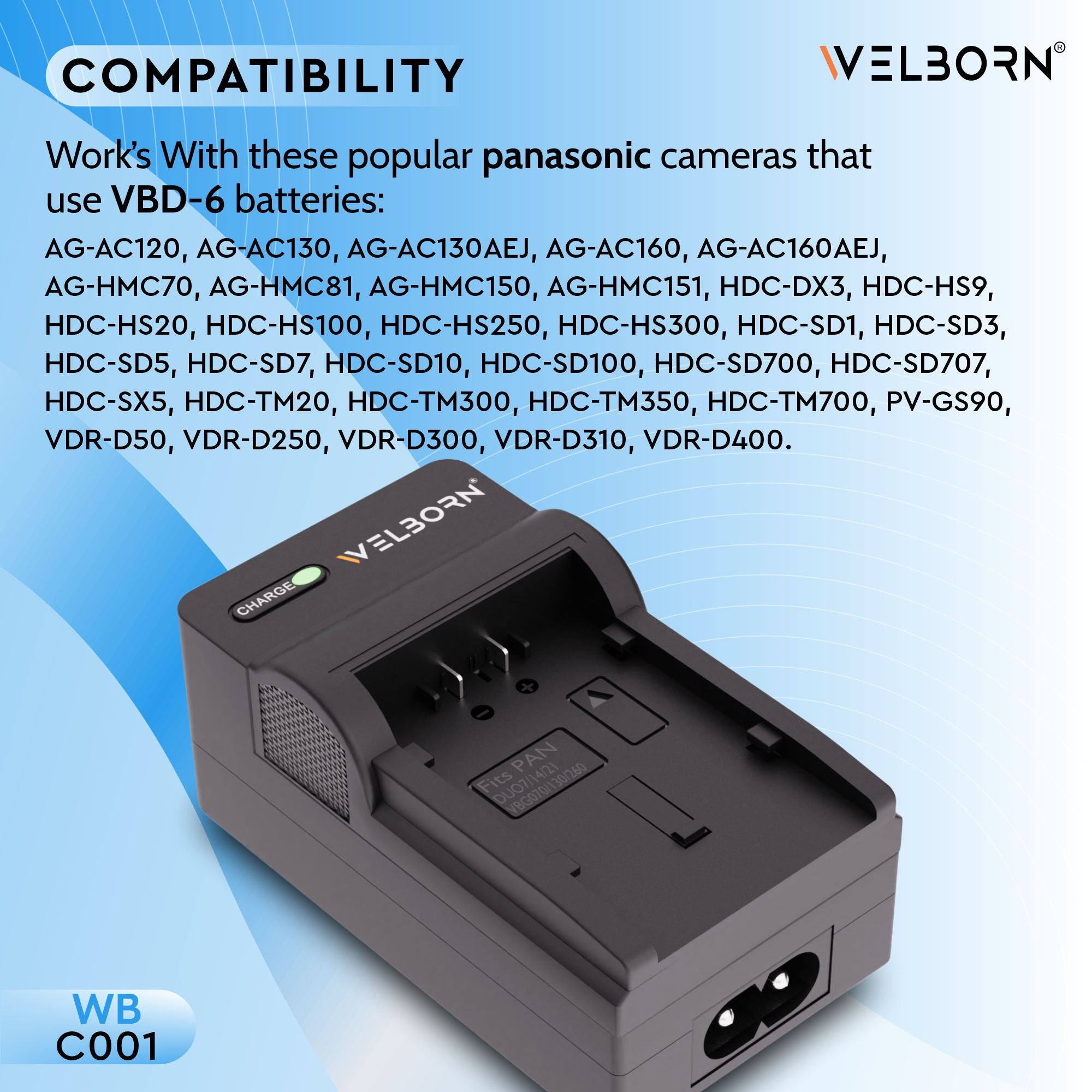 Welborn Camera Battery Charger for Panasonic VBG6 Battery Compatible with HDCHS300,TM300,HS250,SD100,HS20 AGHMC40,HMC150 HDC-SD600,SD700 SDRH40-SDRH90,SD20,SD9,HS9,SX5,AG-AC7,AC160A,AG-HMC40-AG-HMC153