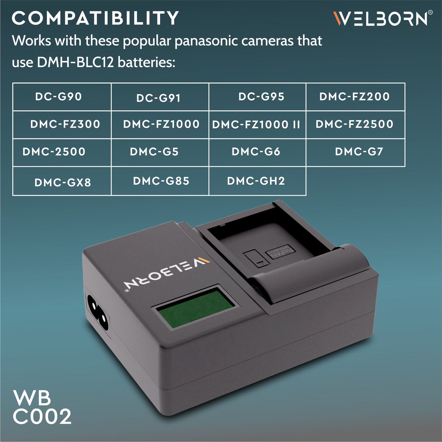 Welborn LCD Camera Battery Charger for Panasonic Camera Battery DMW-BLC12 Compatiable with Lumix G7 G95, DMC-GX8 GH2 G6 G7, DC-G95 G85 G95, DMC-GH2 G7 G5 G85 FZ200 FZ2500 FZ1000