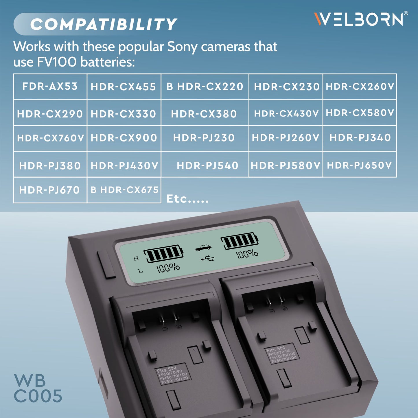 Welborn Dual LCD Camera Battery Charger for Sony NP-FV100 Battery Comaptiable with Sony DCR-SR15 to SR21 DCR-SR68 DCR-SR88 DCR-SX15 to DCR-SX85 FDR-AX33 FDR-AX53