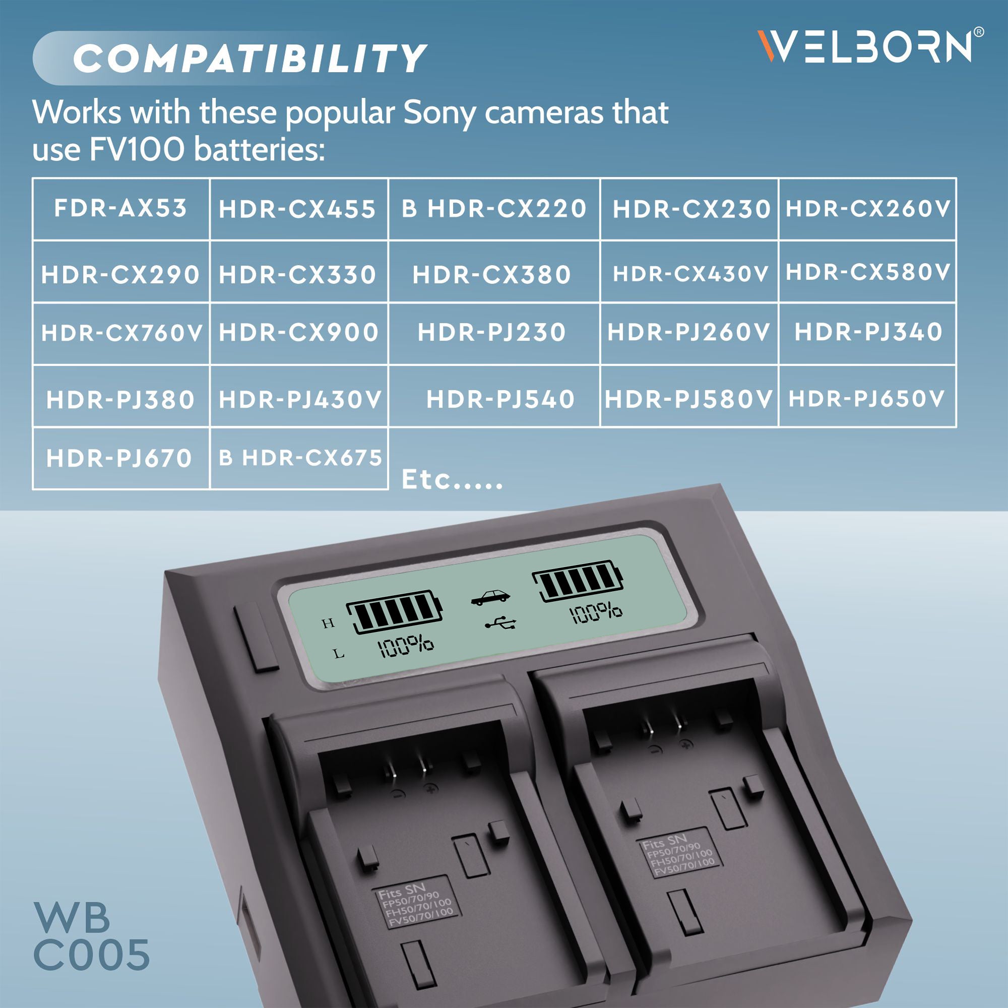 Welborn Dual LCD Camera Battery Charger for Sony NP-FV100 Battery Comaptiable with Sony DCR-SR15 to SR21 DCR-SR68 DCR-SR88 DCR-SX15 to DCR-SX85 FDR-AX33 FDR-AX53