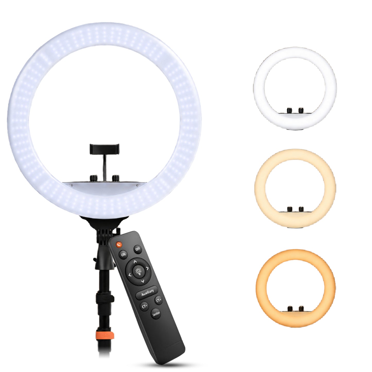 WELBORN (WB-RL-19B RT) LED Ring Light with Remote Control | Adjustable Lighting | Smartphone Holder | USB Support | For Photography, Video & Vlogging