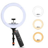 WELBORN (WB-RL-19B RT) LED Ring Light with Remote Control | Adjustable Lighting | Smartphone Holder | USB Support | For Photography, Video & Vlogging